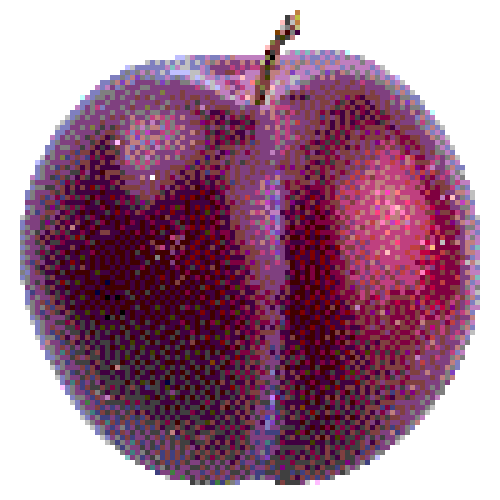 Plum Torte